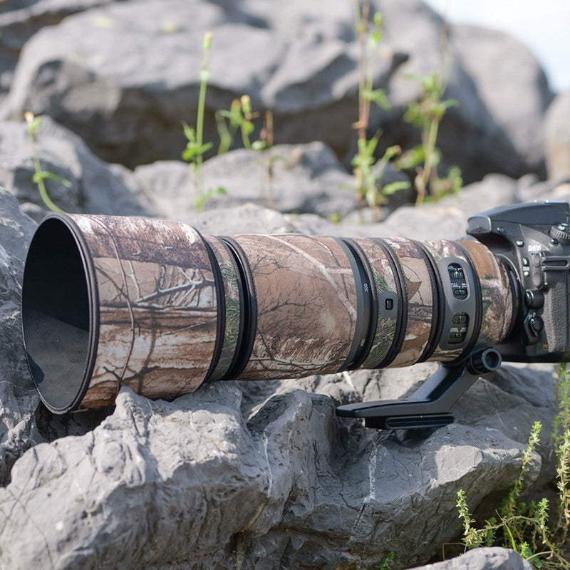 Nikon AF-S 200-500mm