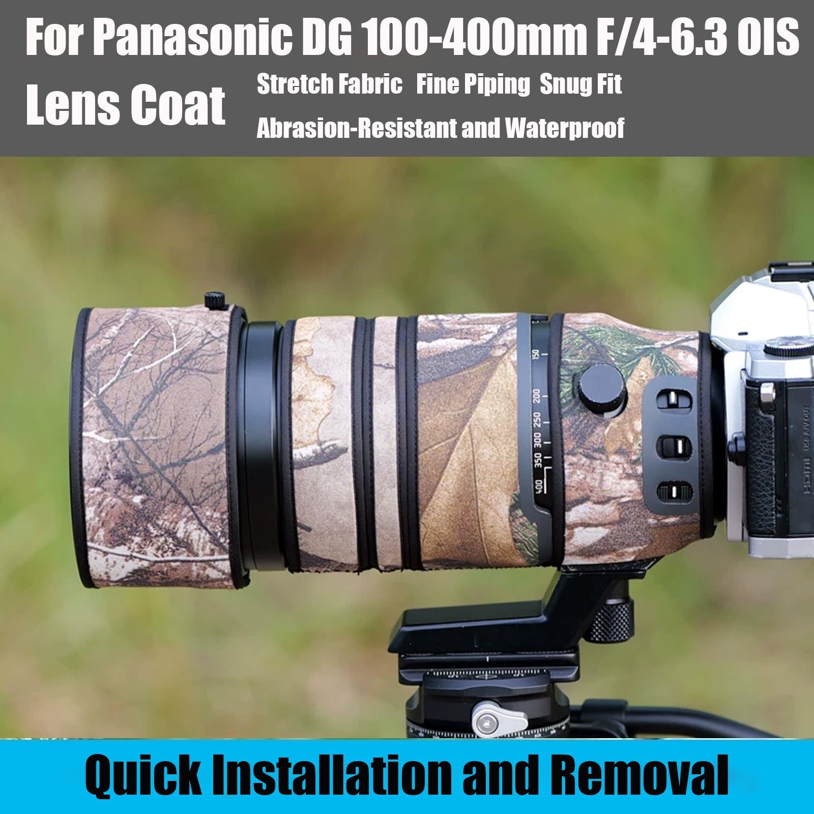 Panasonic DG 100-400mm F/4-6.3 OIS
