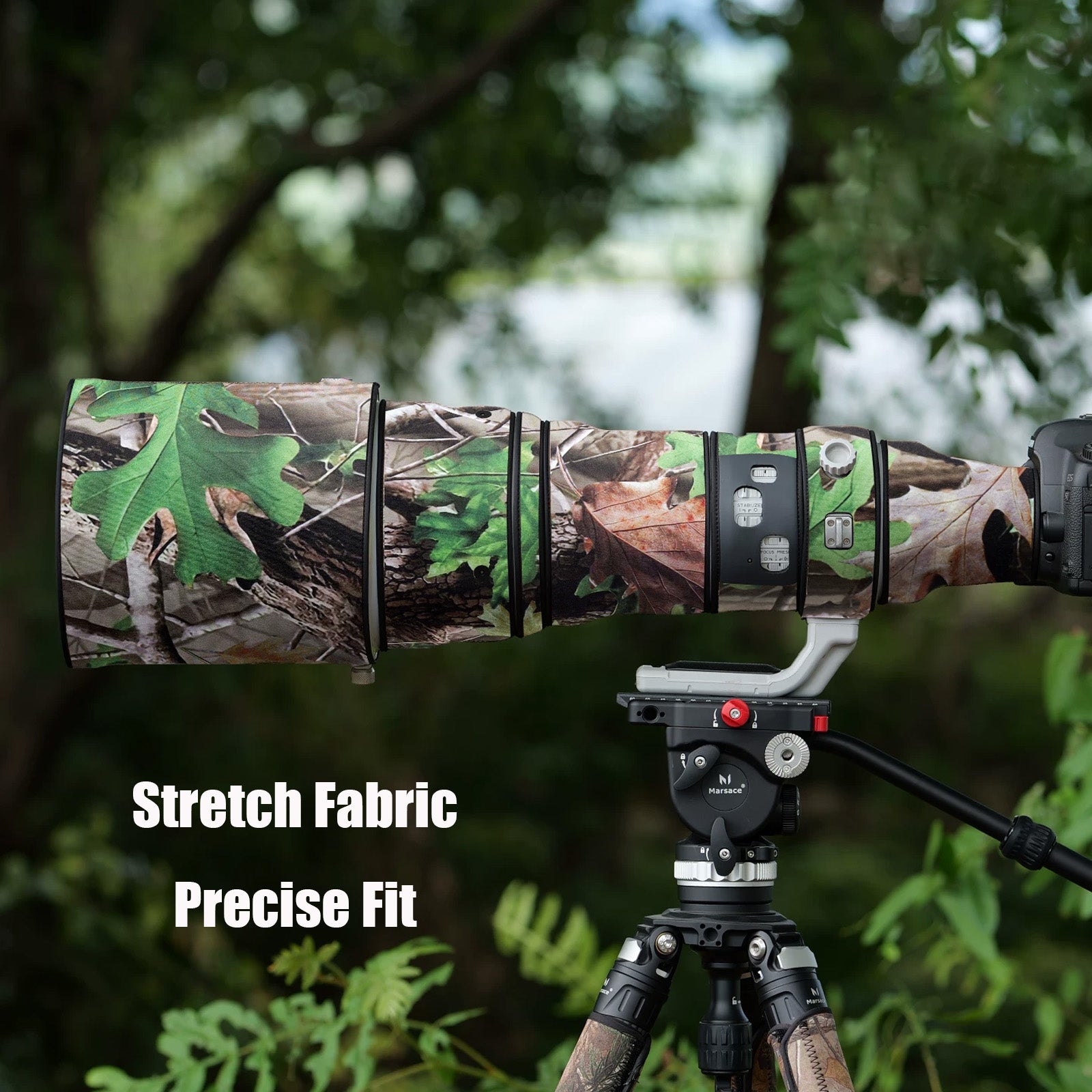 Canon EF 200-400mm F/4 L IS USM Extender 1.4x